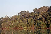 Lake Salvador, the largest oxbow lake in the lower Manu River